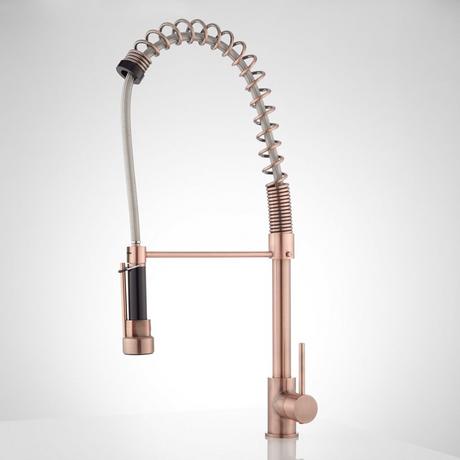 Asaro Kitchen Faucet with Pull-Down Spring Spout