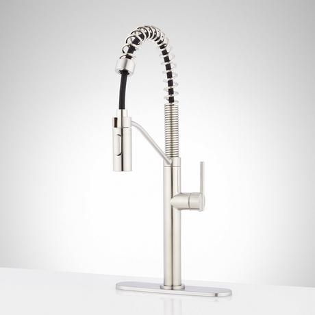 Eiler Single-Hole Kitchen Faucet with Pull-Down Spring Spout and Deck Plate